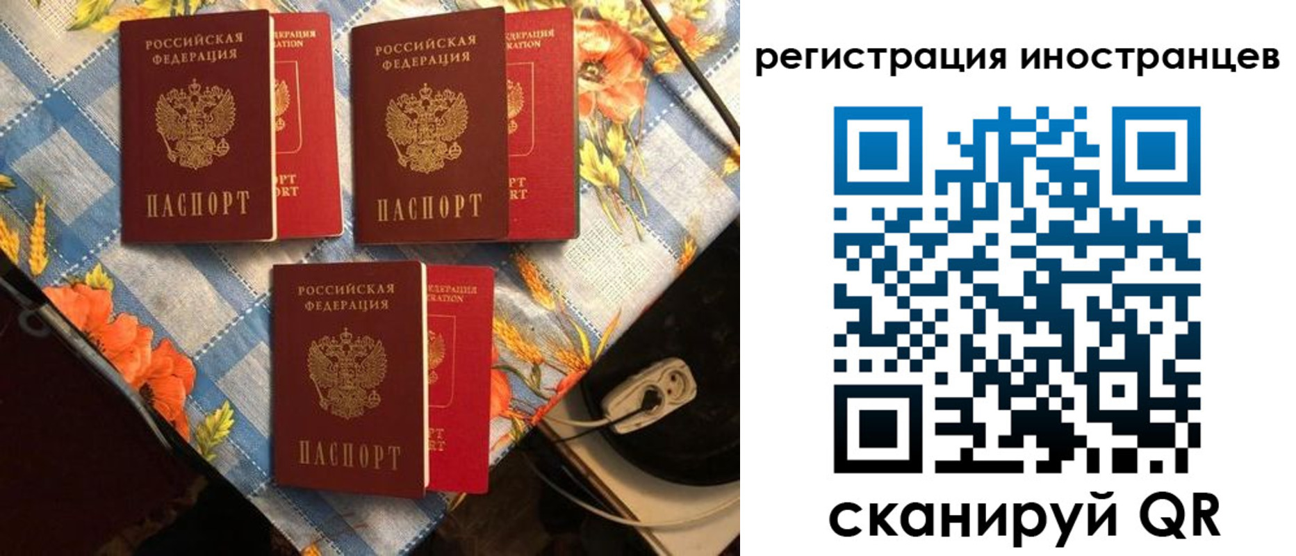 прописка поиск в Ненецком АО